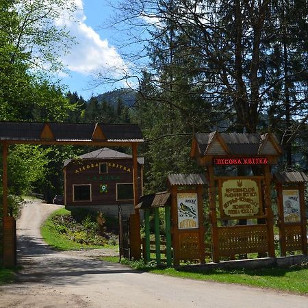 Sadyba Lisova Kvitka Verkhniy Yasenov Exterior foto