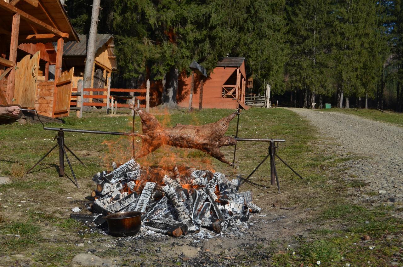 Sadyba Lisova Kvitka Verkhniy Yasenov Exterior foto